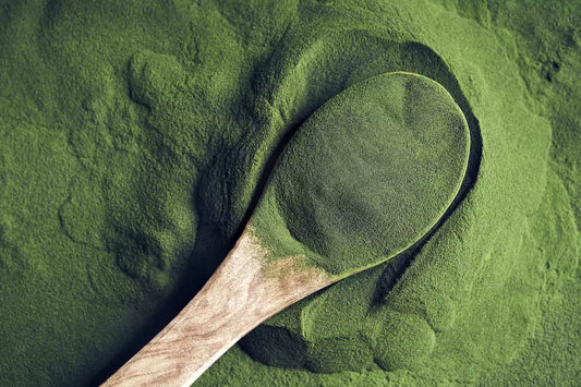 A spoonful of green chlorella algae powder
