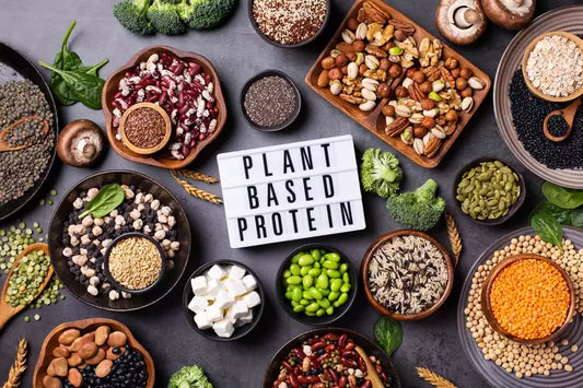 Plant based protein sign surrounded by food sources