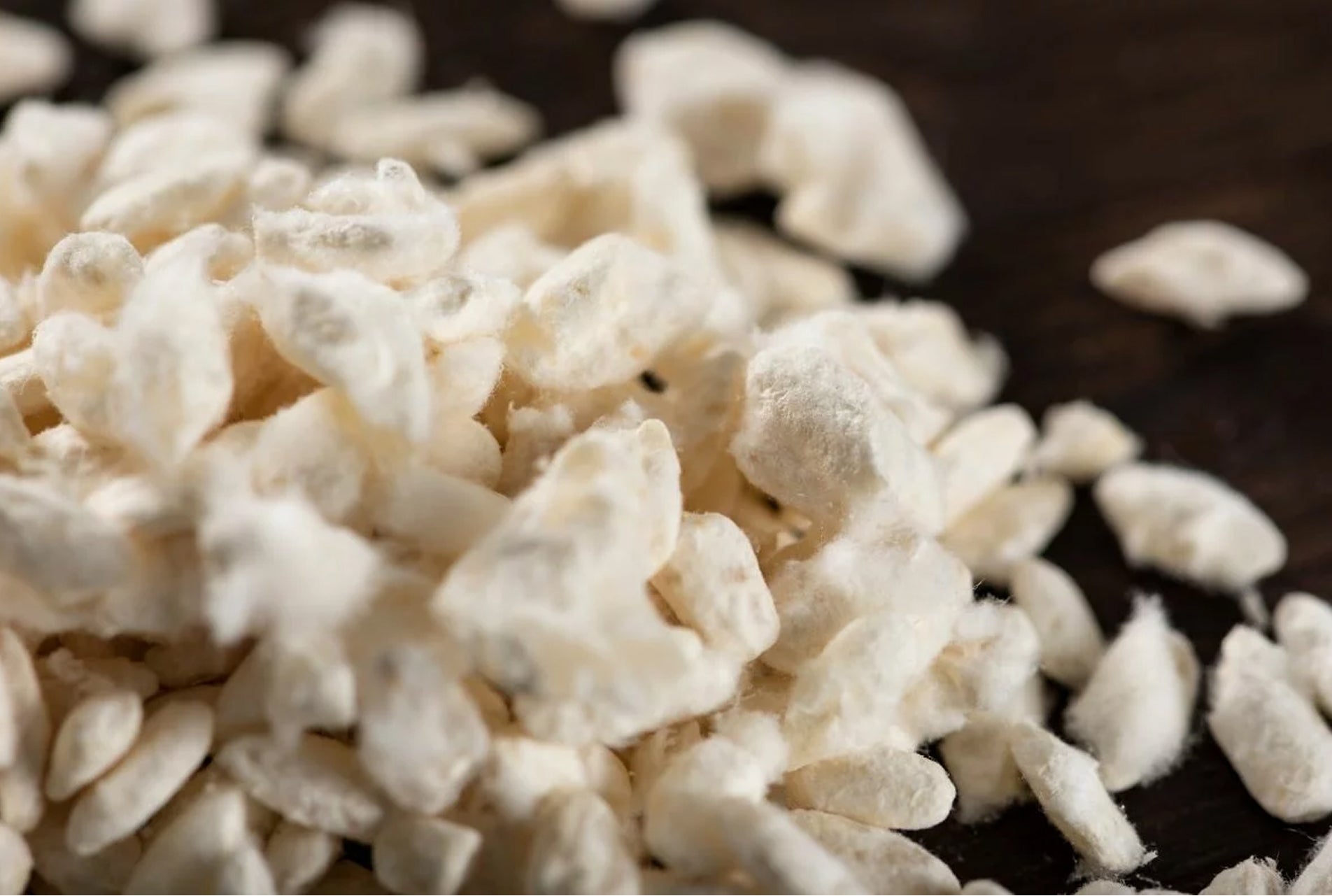 Grain Koji