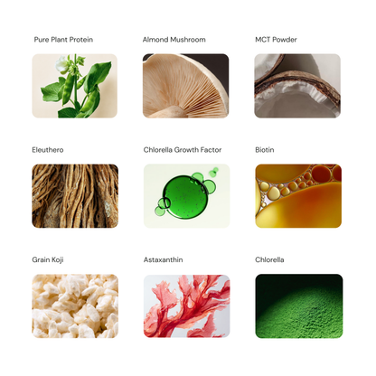 ON3 Athletic 30-Day Plant Protein Greens